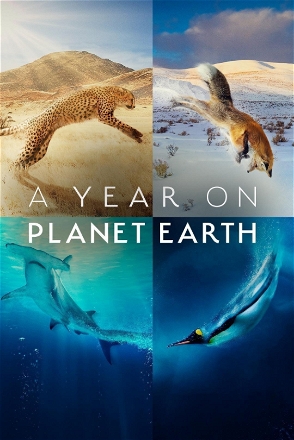 Year on Planet Earth